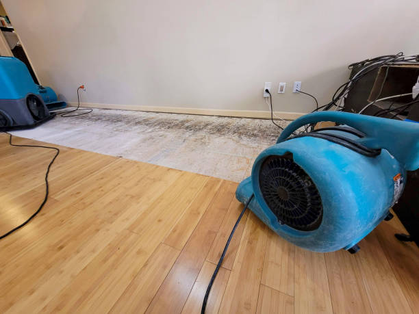 Professional Ceiling Water Damage Repair technician working in Hollytree, AL